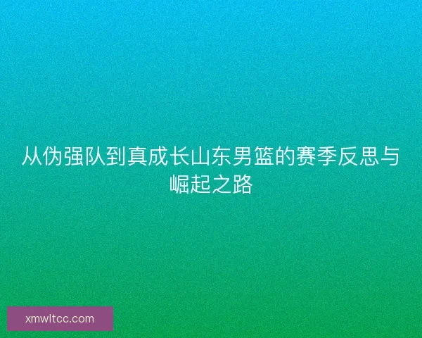 从伪强队到真成长山东男篮的赛季反思与崛起之路