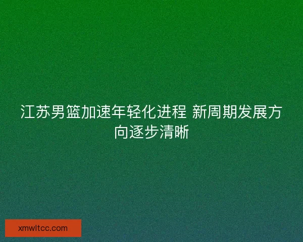 江苏男篮加速年轻化进程 新周期发展方向逐步清晰